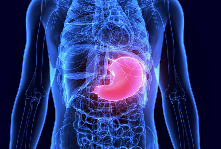 胃のイメージ画像