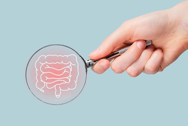 虫眼鏡にうつしだされた腸のイラスト