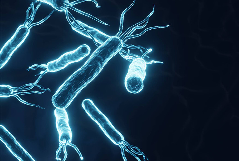 ピロリ菌のイメージ画像